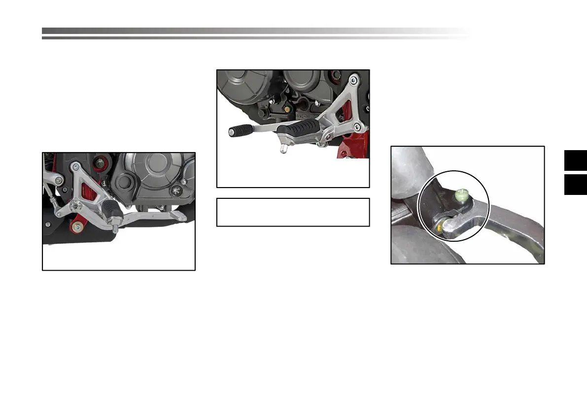 Page #238 background image