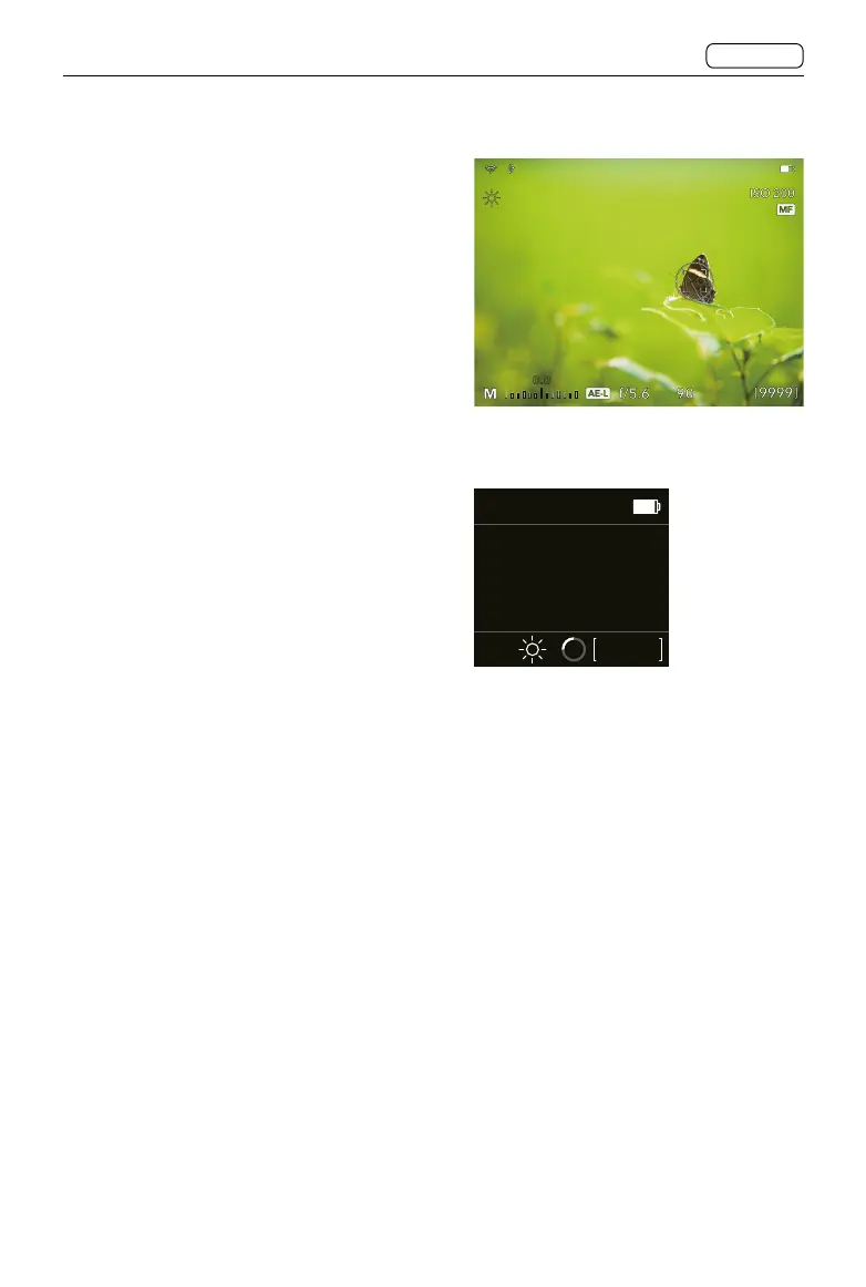 Page #29 background image