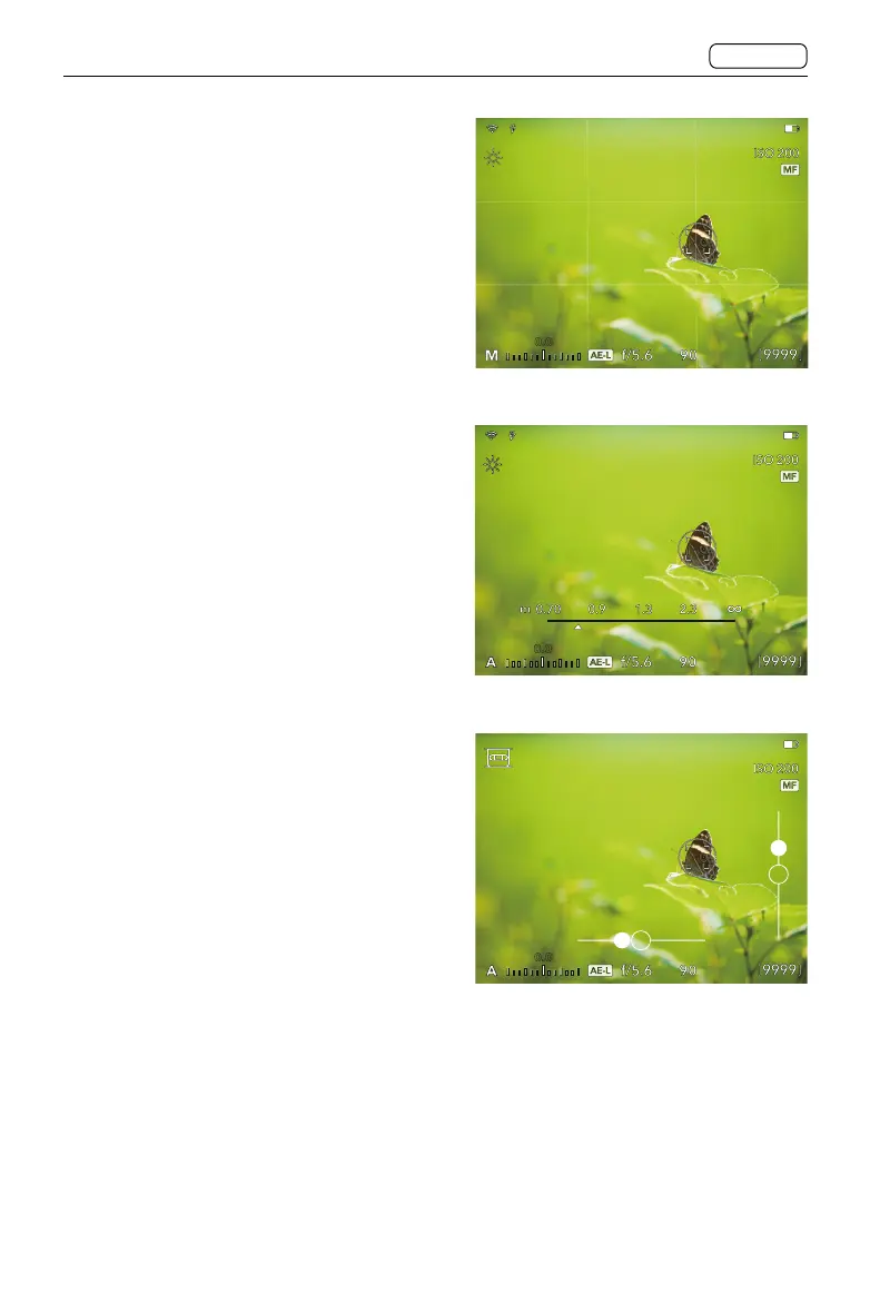 Page #36 background image