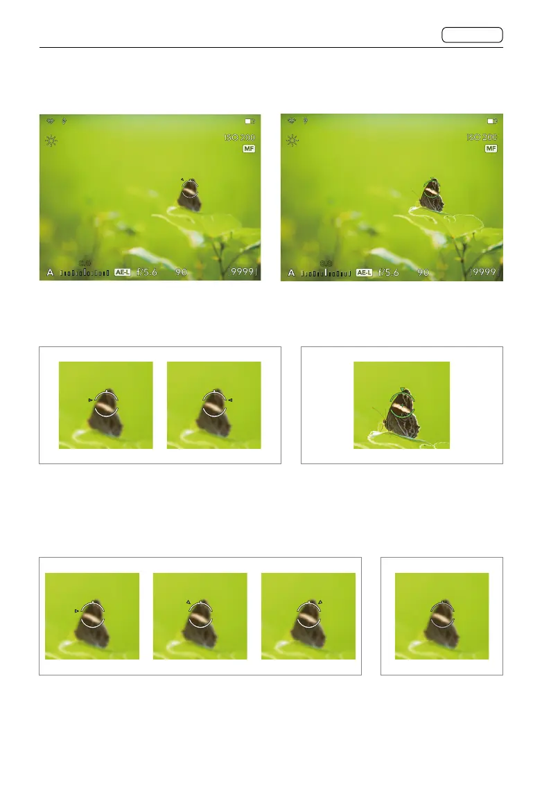 Page #57 background image