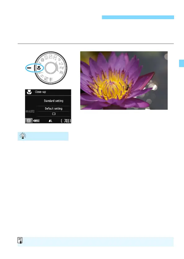 Page #69 background image
