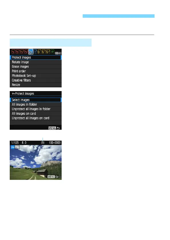 Page #228 background image