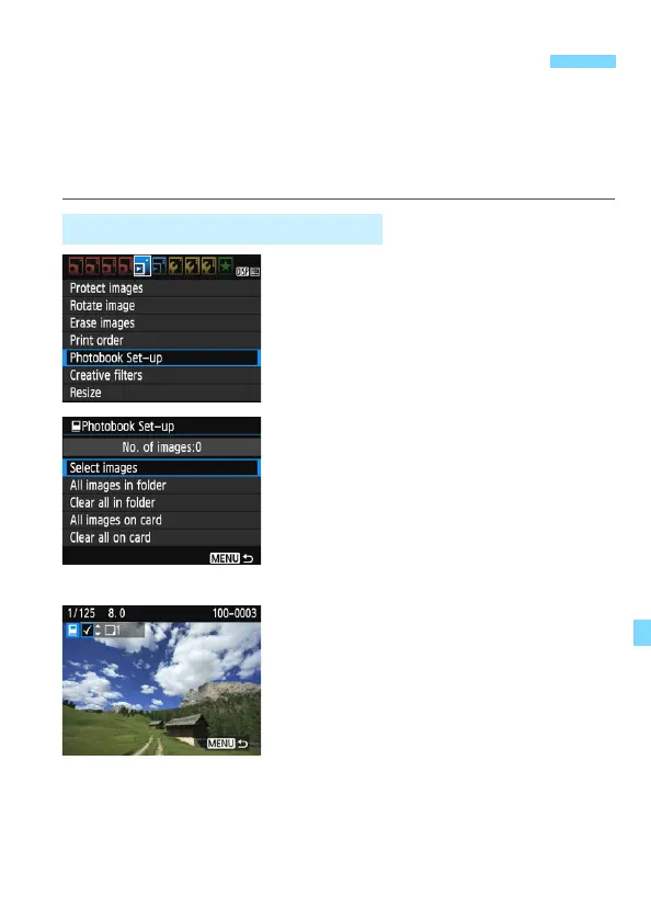 Page #255 background image