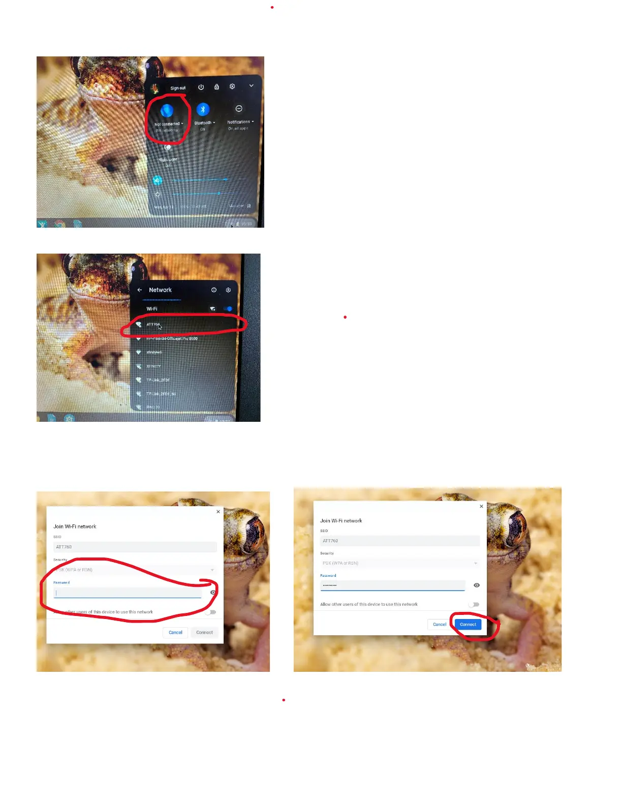Page #2 background image