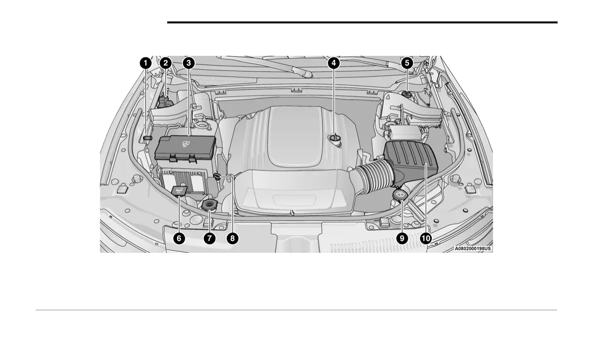 Page #222 background image
