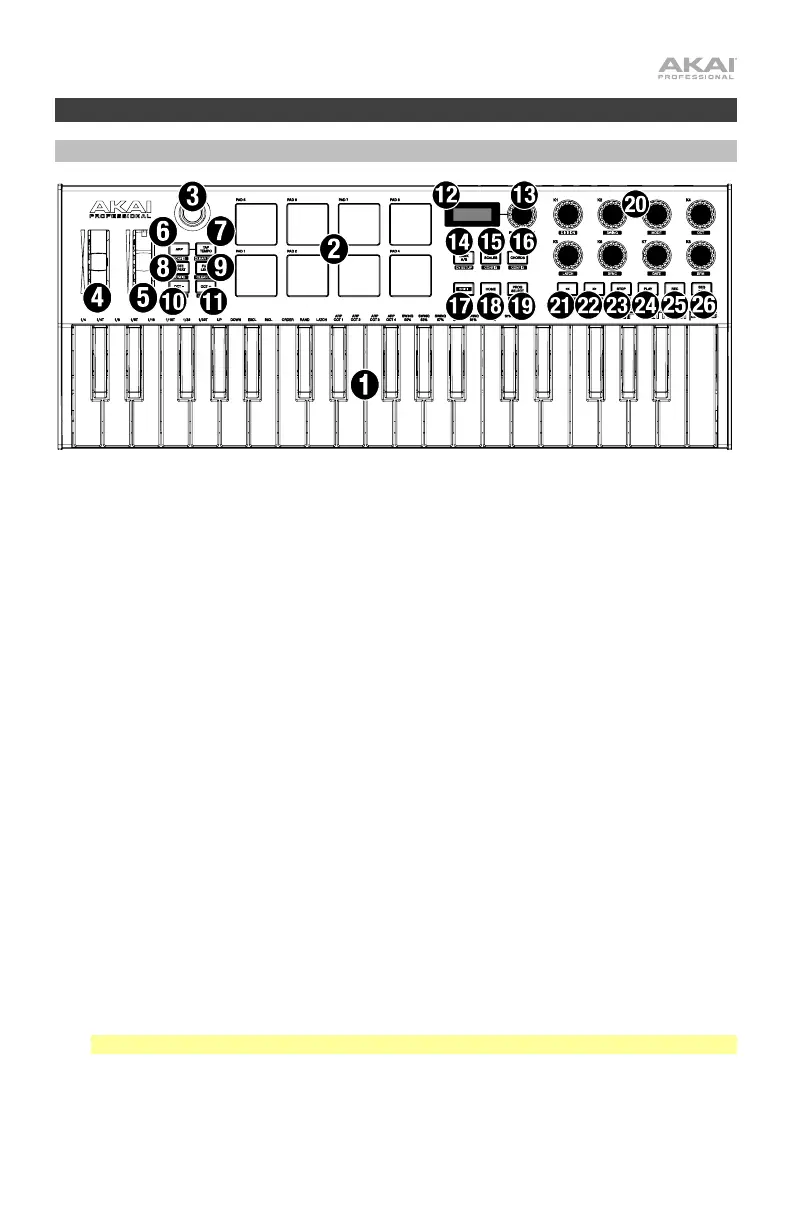 Page #5 background image
