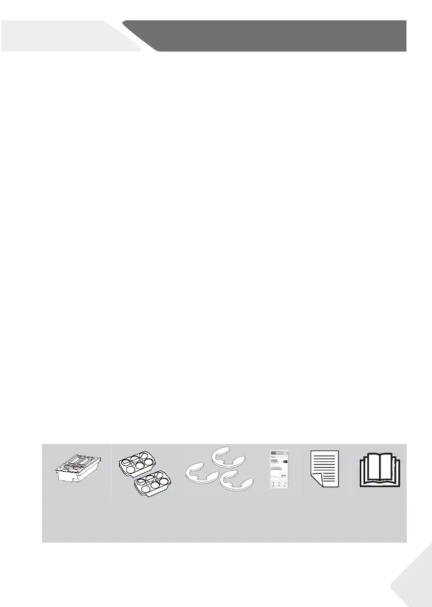 Page #301 background image