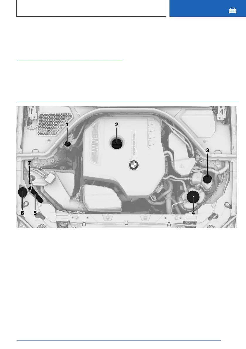 Page #311 background image