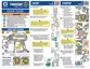 Preview: Quick Guide