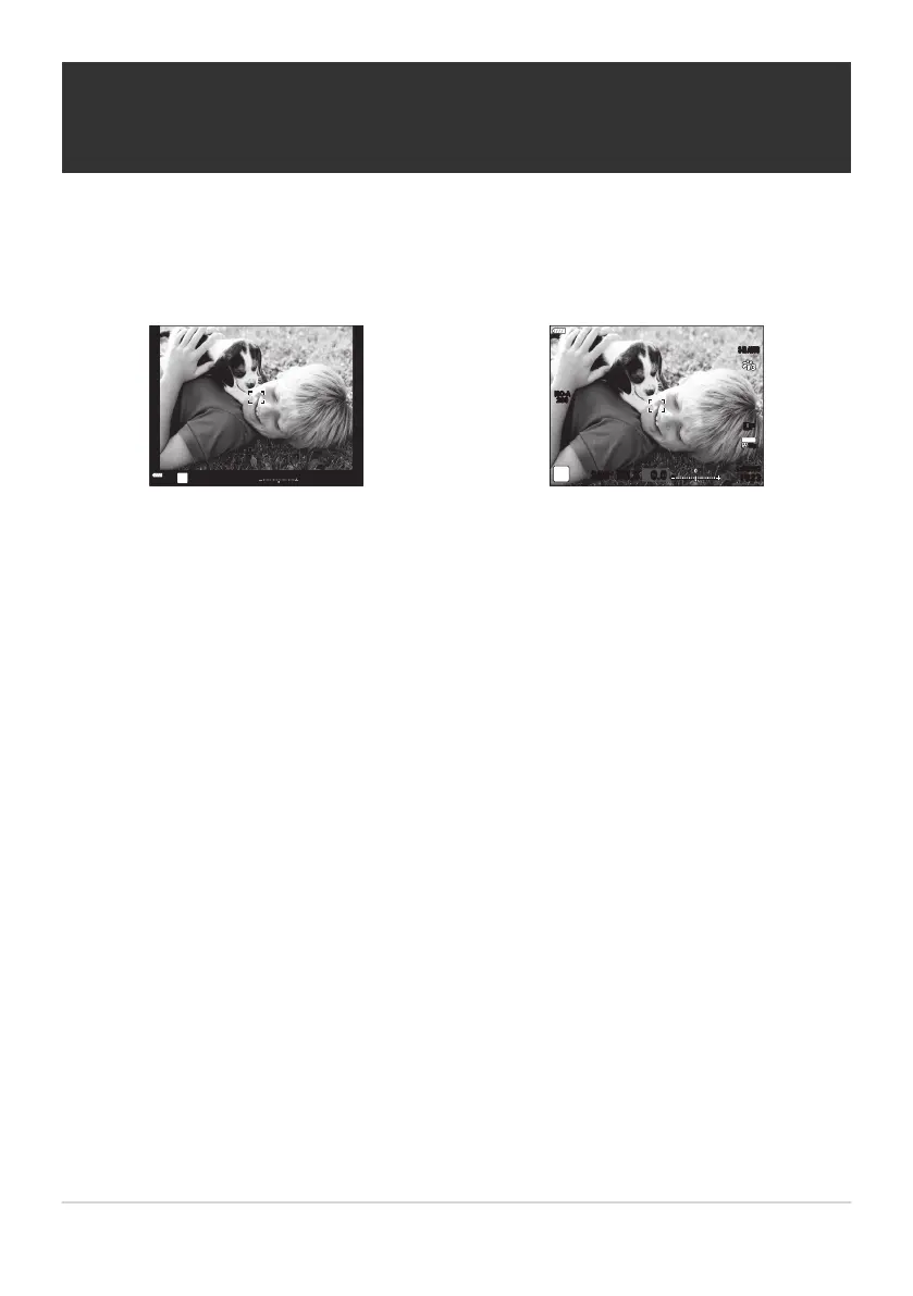 Page #349 background image