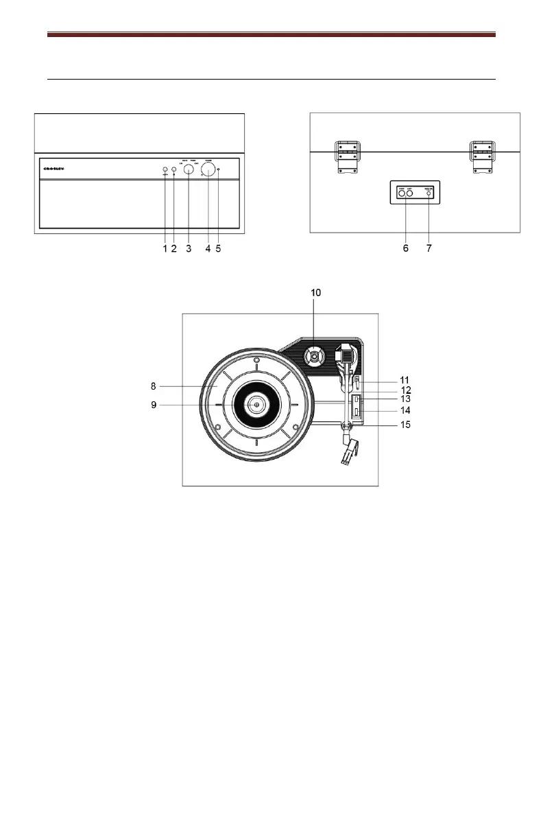 Page #4 background image