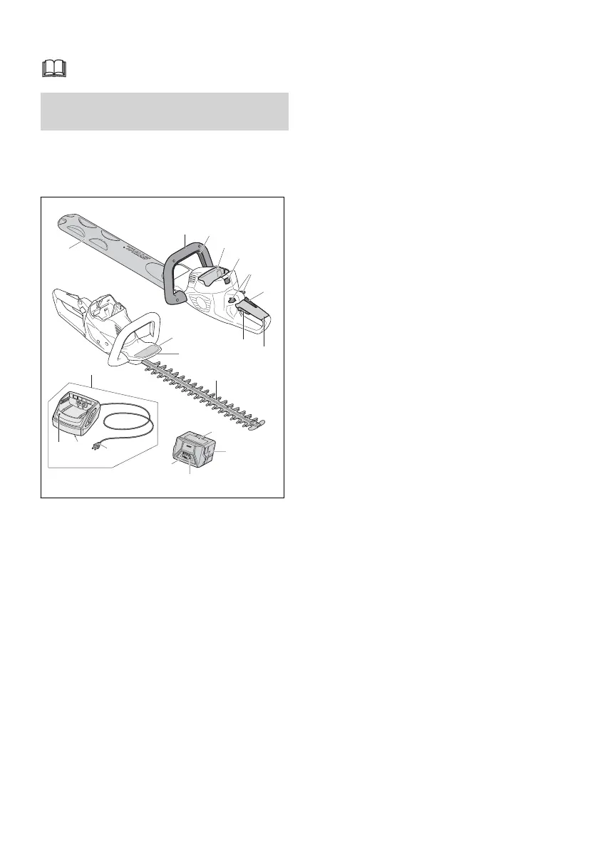Page #255 background image