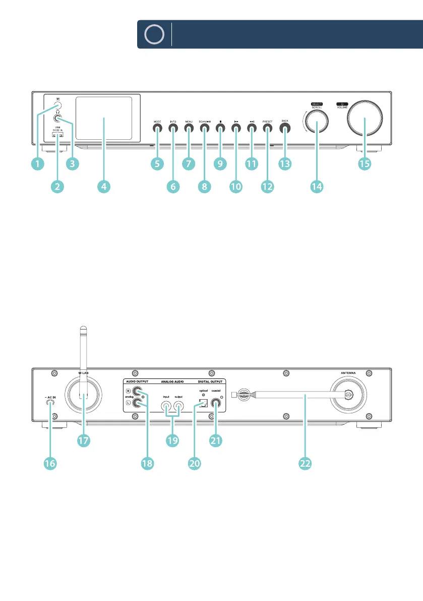 Page #3 background image