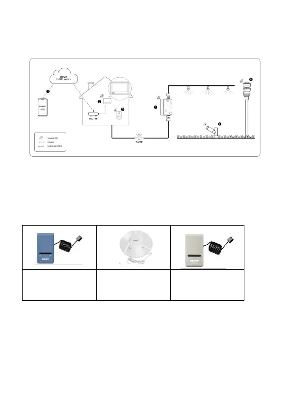 Page #3 background image