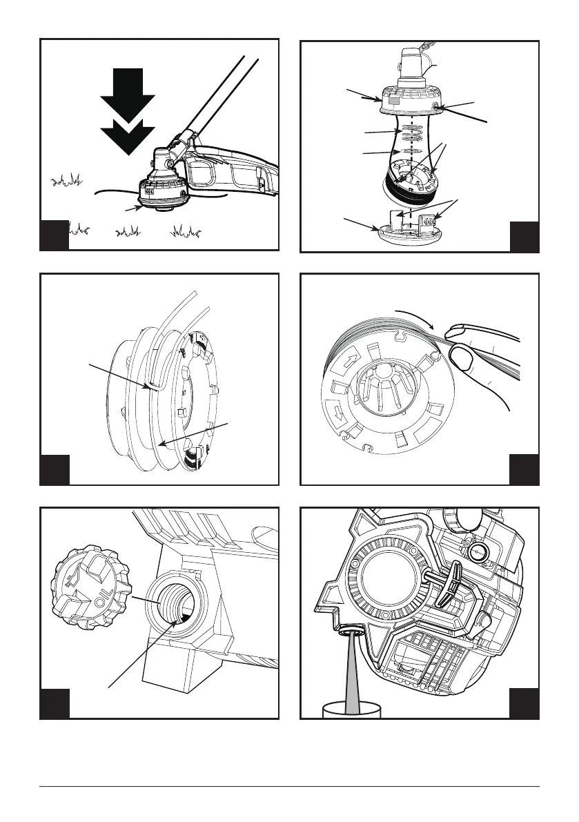 Page #5 background image