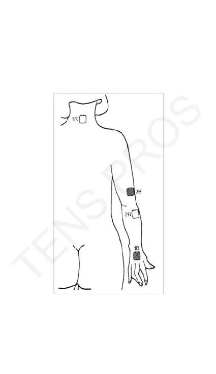 Page #30 background image
