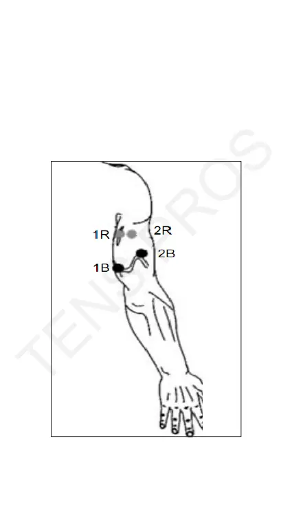Page #38 background image