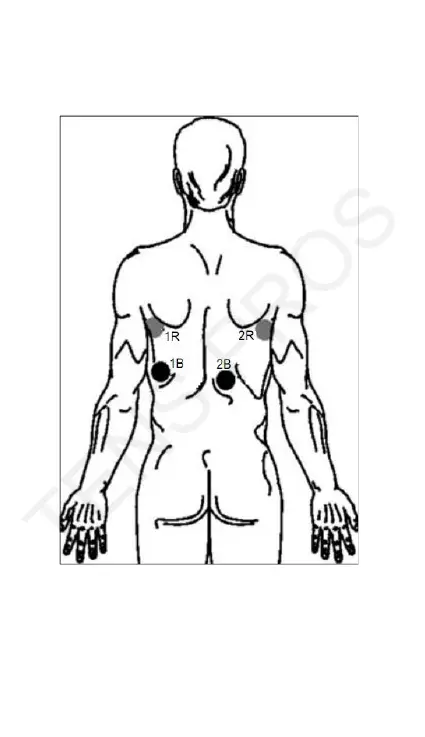 Page #39 background image