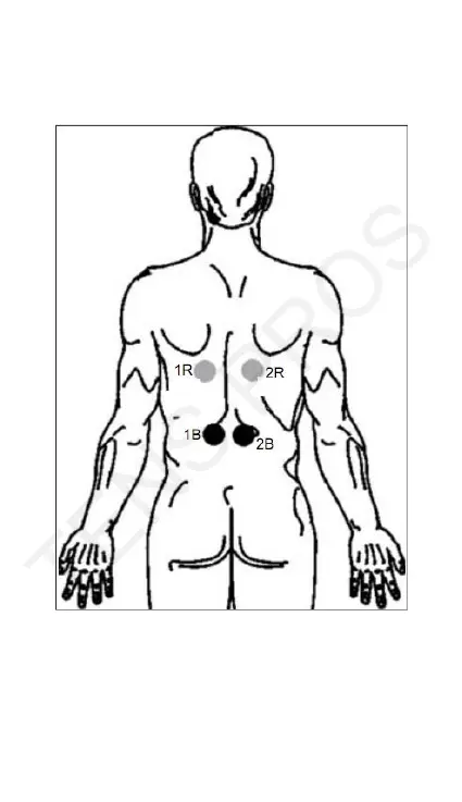 Page #40 background image