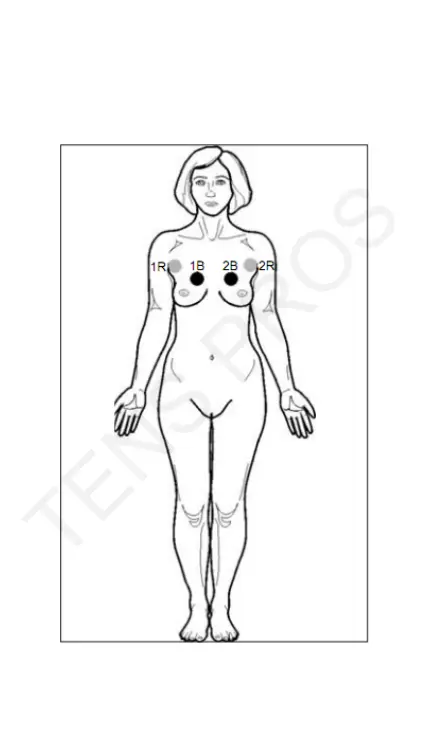 Page #44 background image