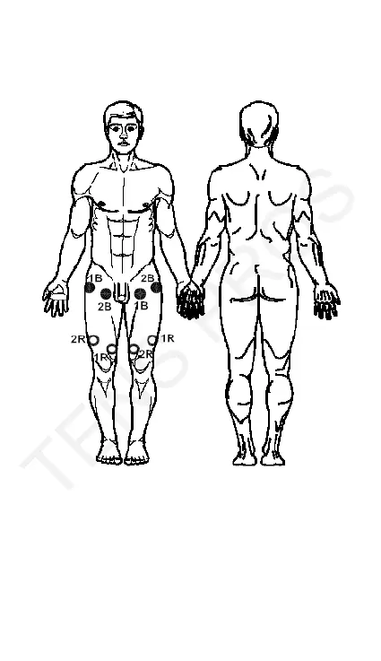 Page #47 background image