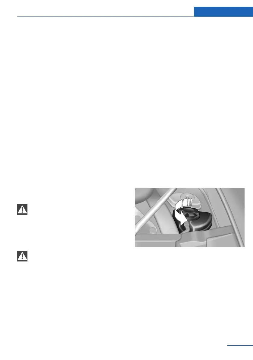 Page #243 background image