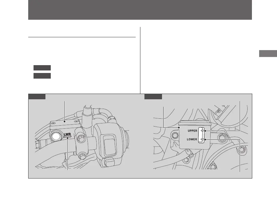 Page #67 background image