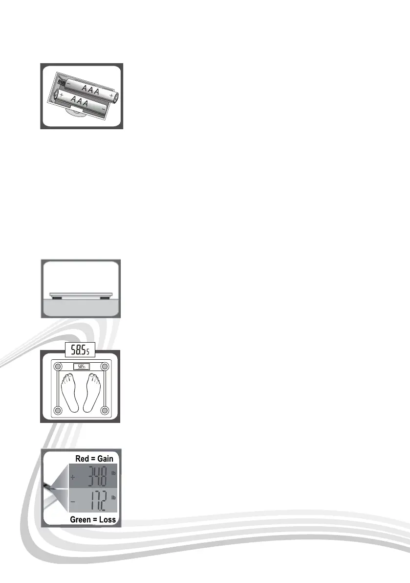 Page #4 background image