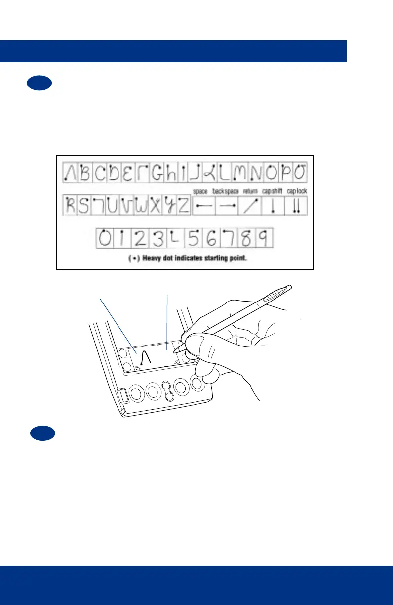 Page #6 background image