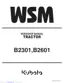 Preview: Workshop Manual
