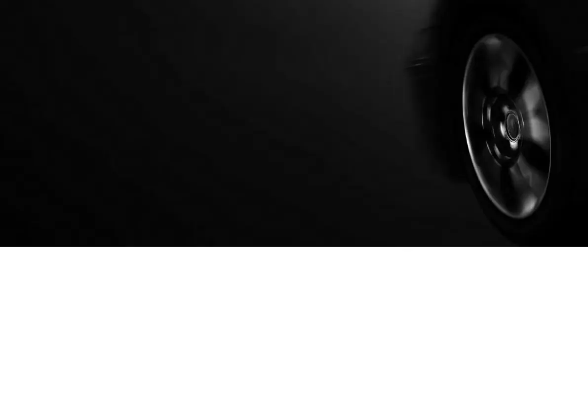 Page #365 background image