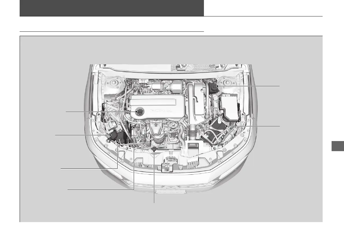 Page #523 background image