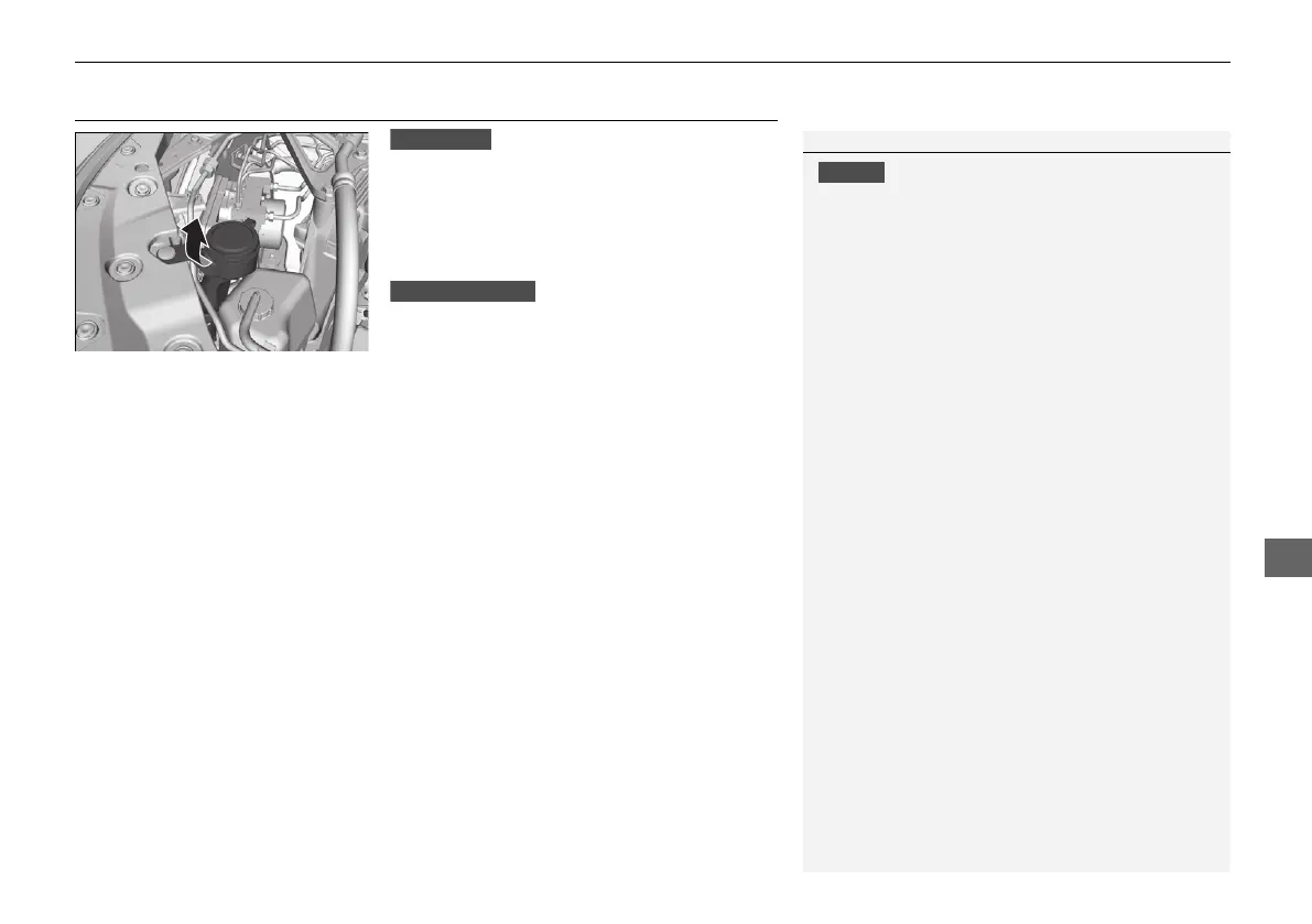 Page #533 background image