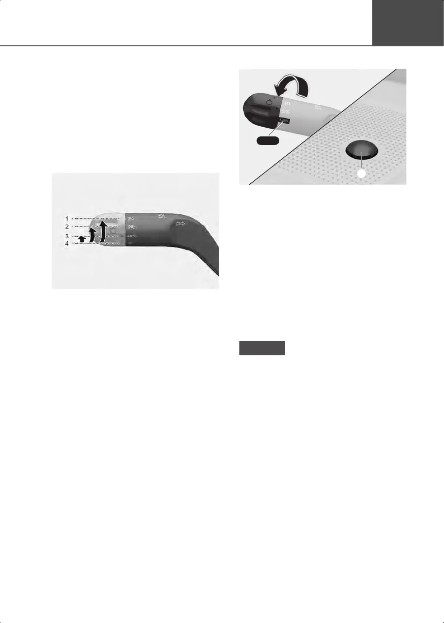 Page #245 background image
