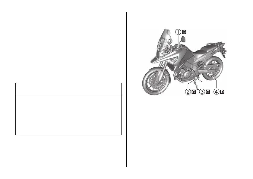 Page #205 background image