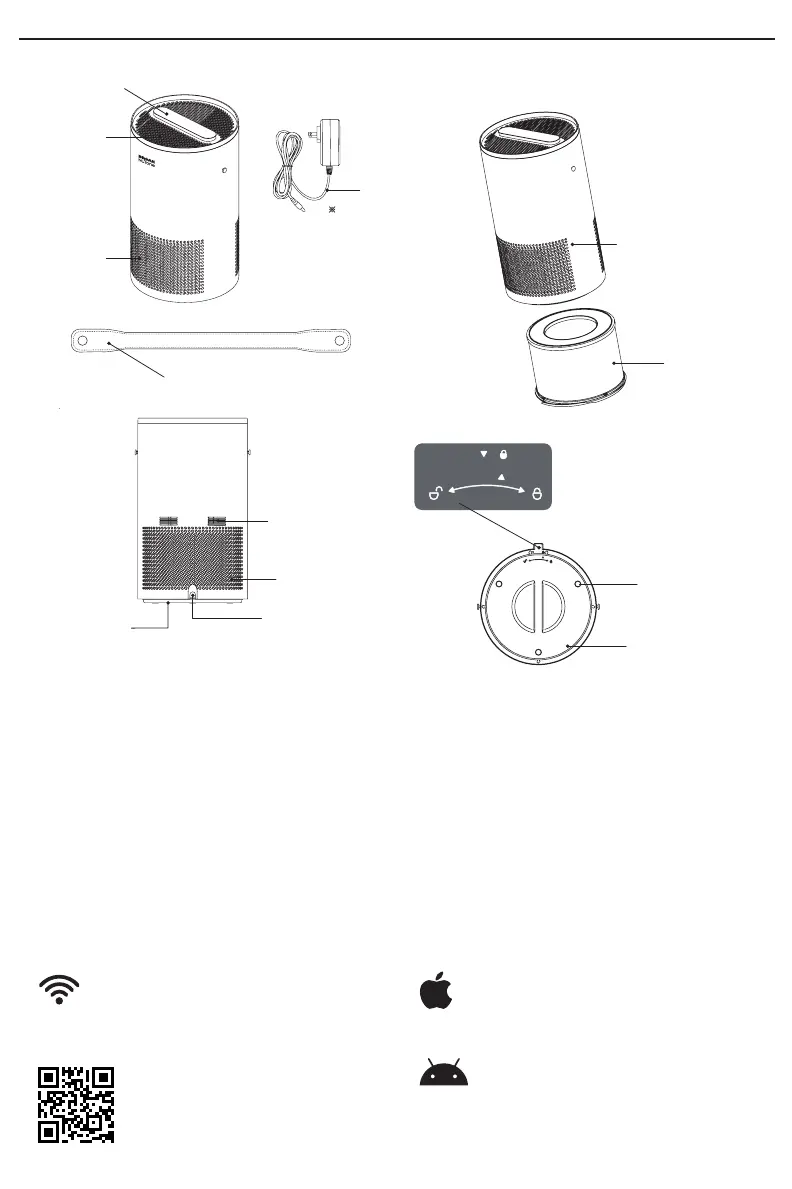 Page #8 background image