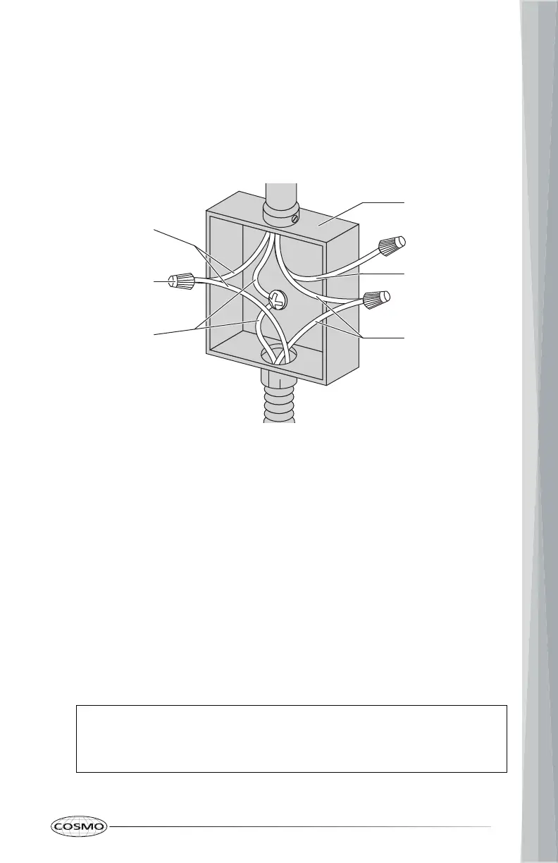 Page #25 background image