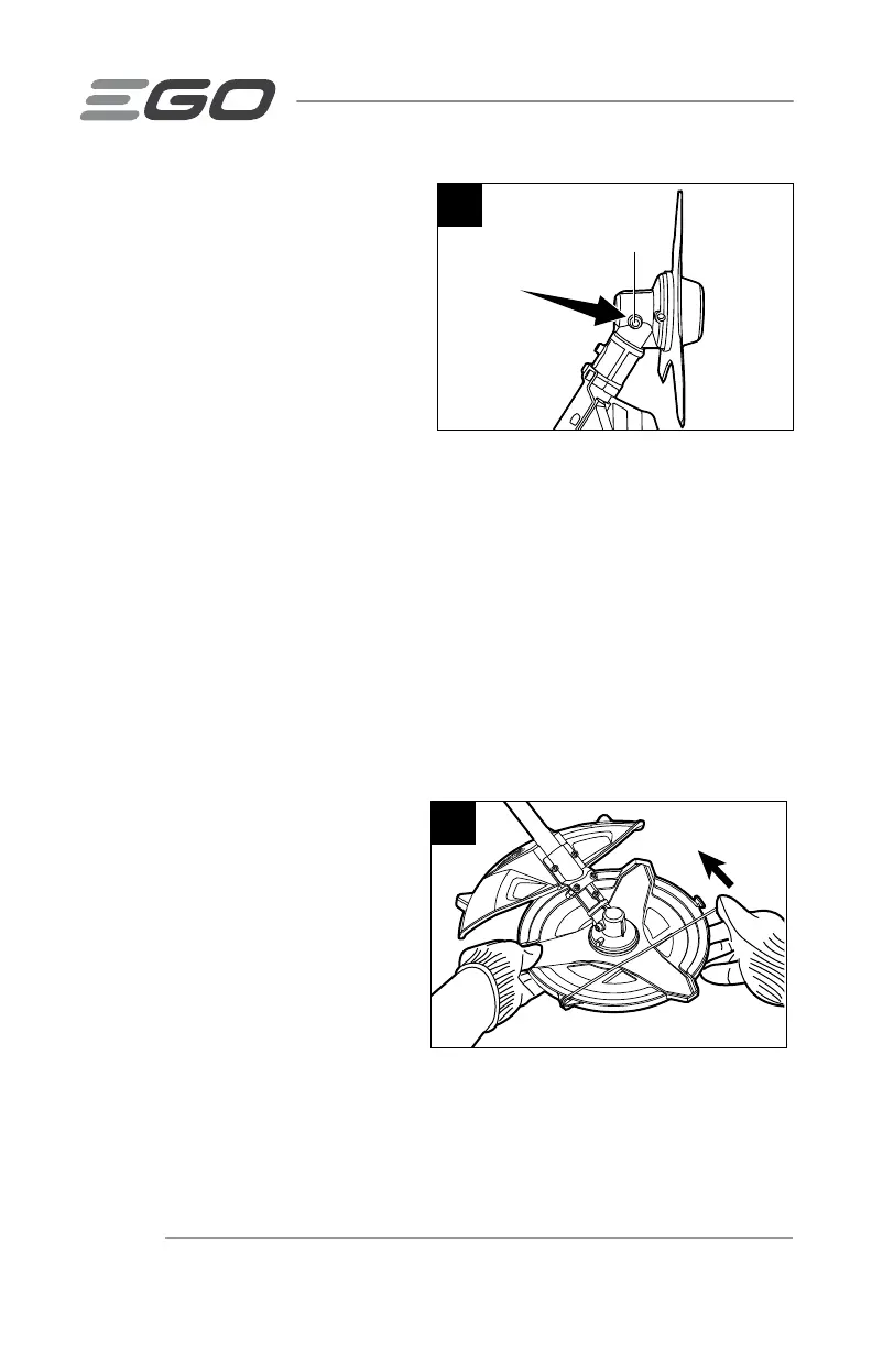 Page #66 background image