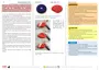 Preview: Instructions