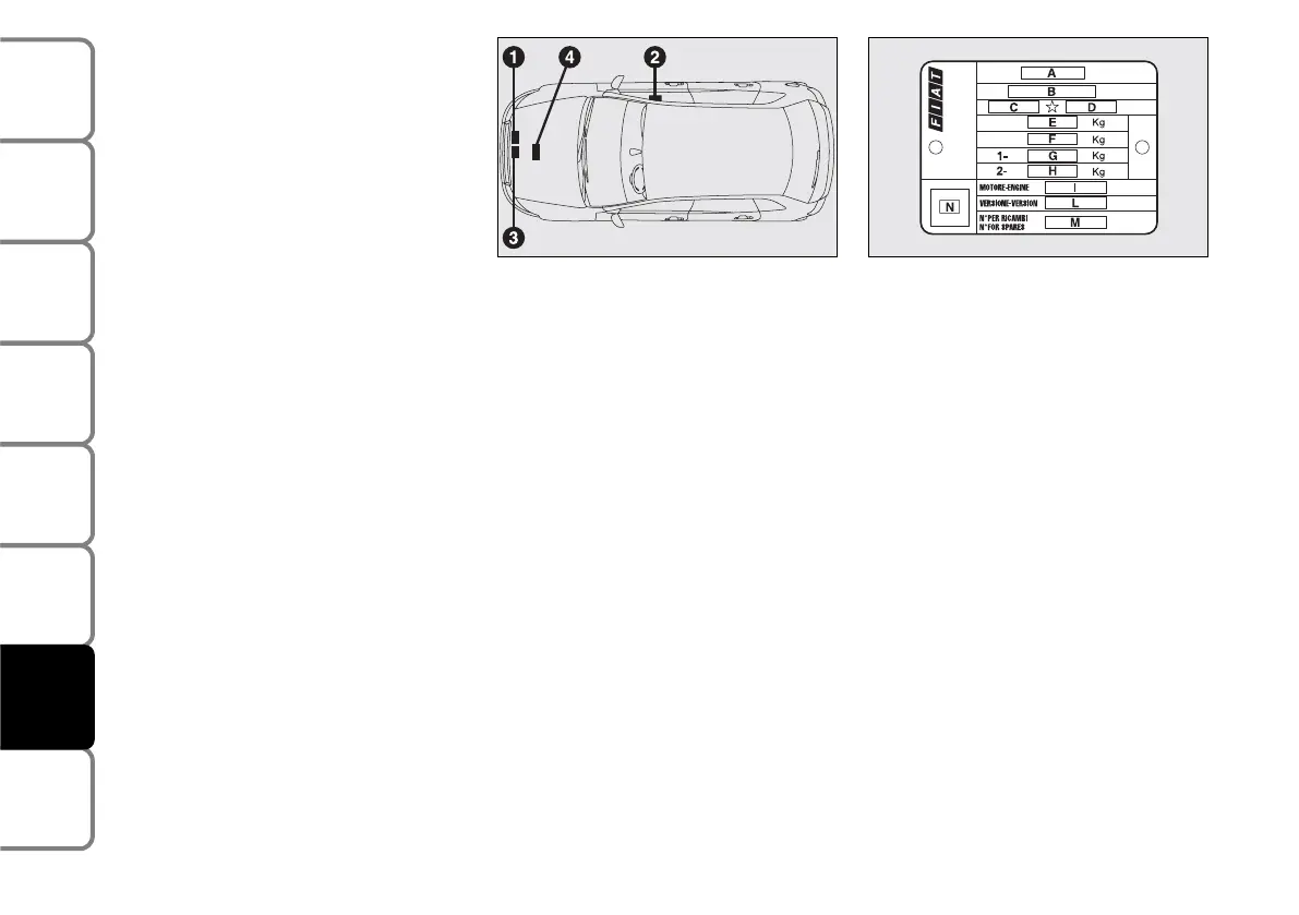 Page #239 background image