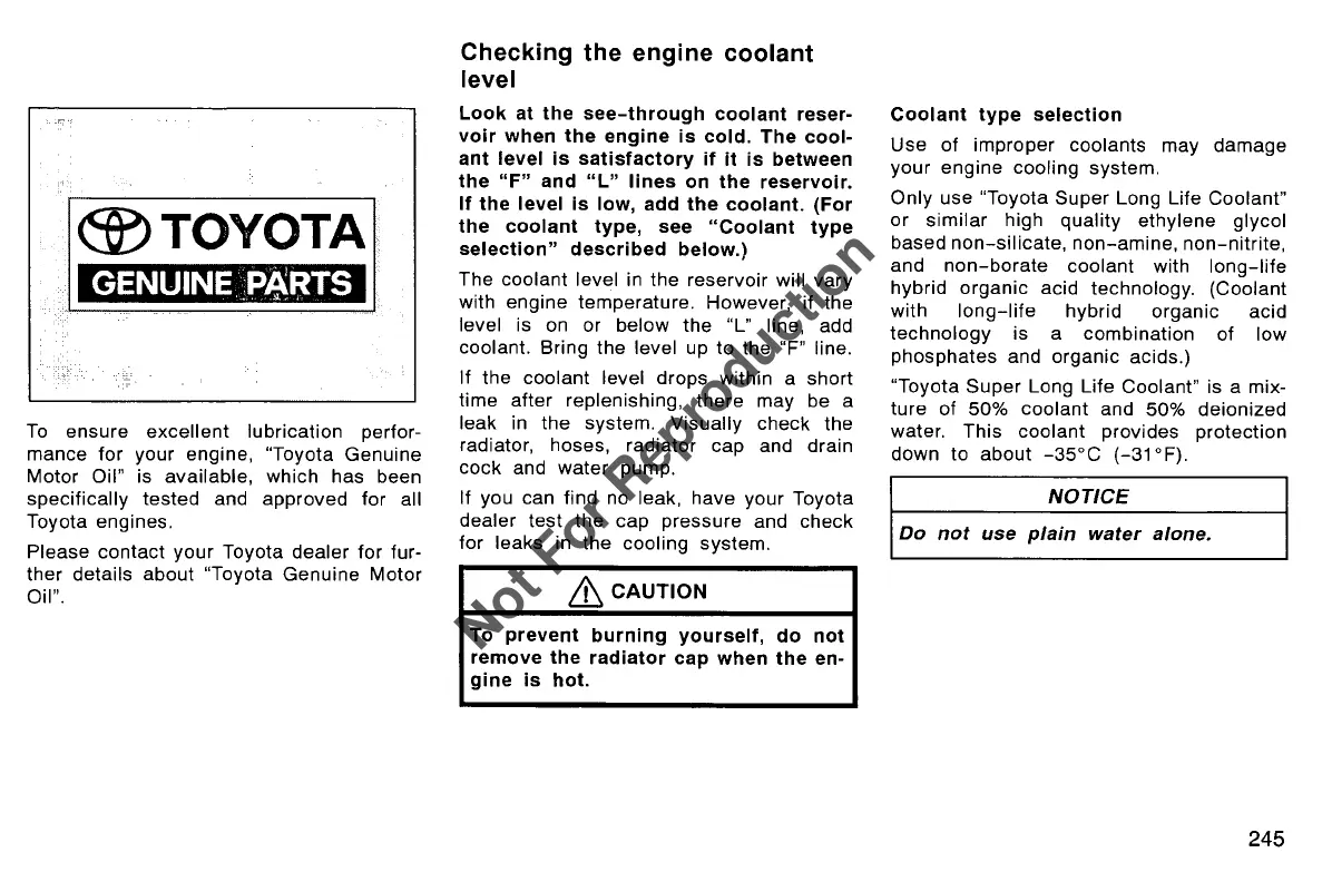 Page #256 background image