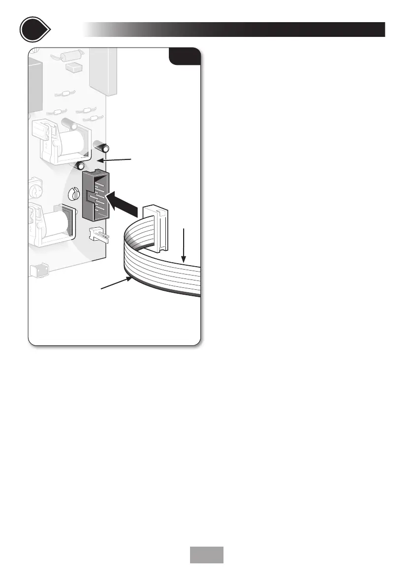 Page #19 background image