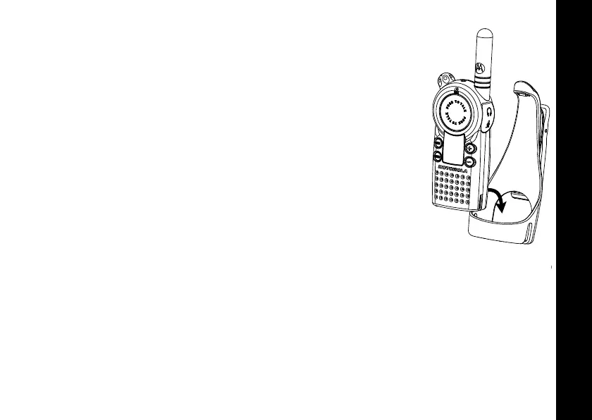 Page #21 background image