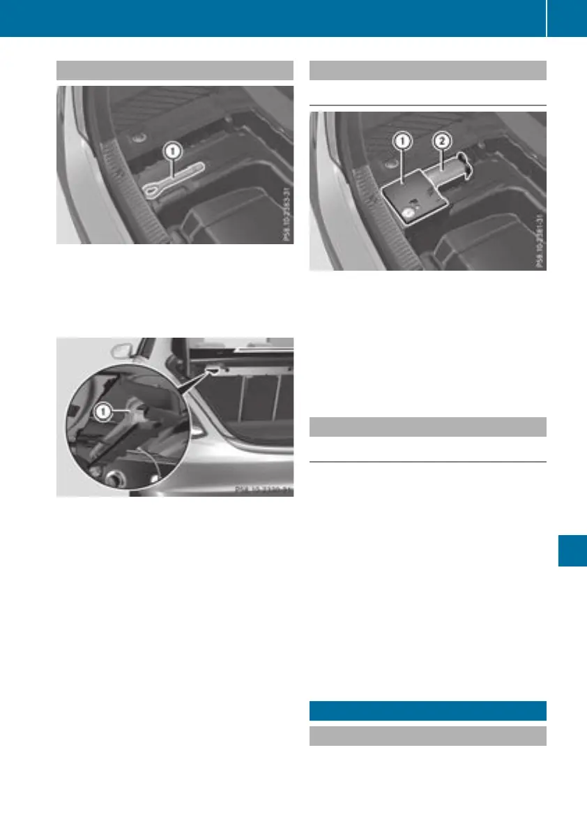 Page #319 background image