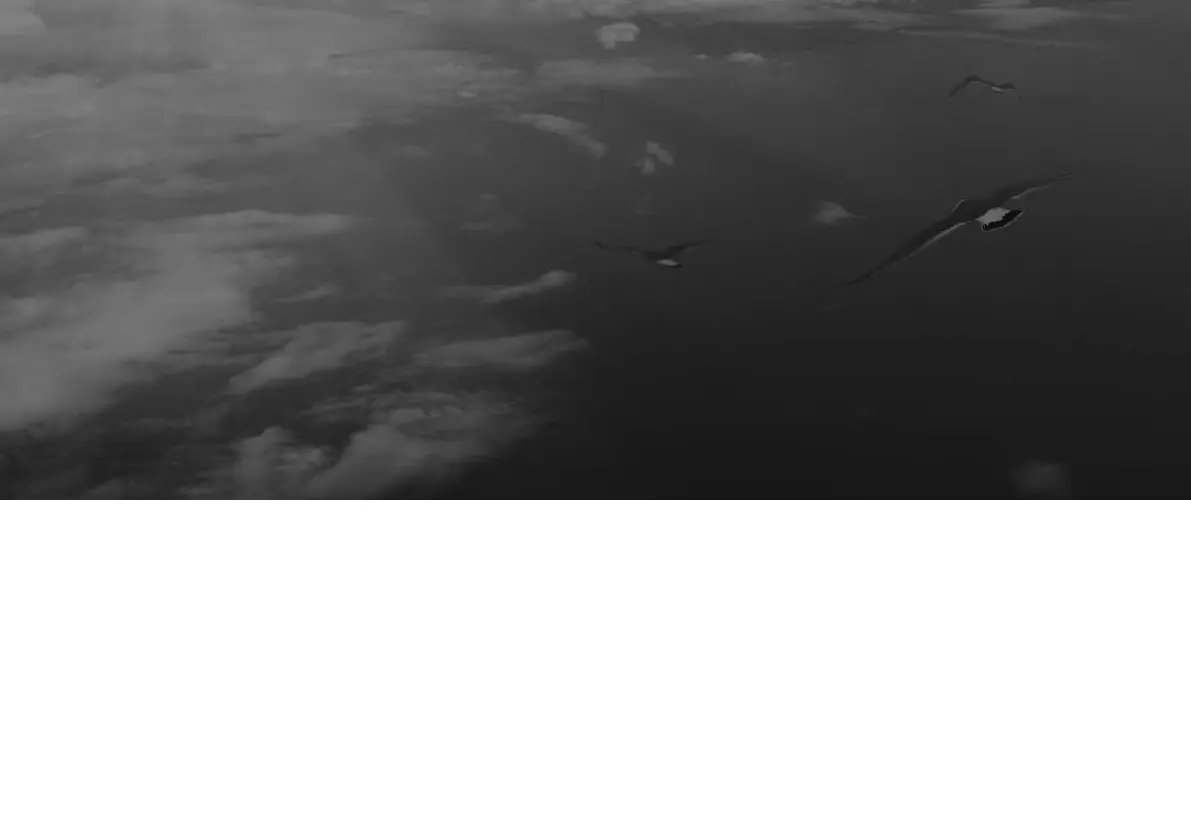 Page #87 background image