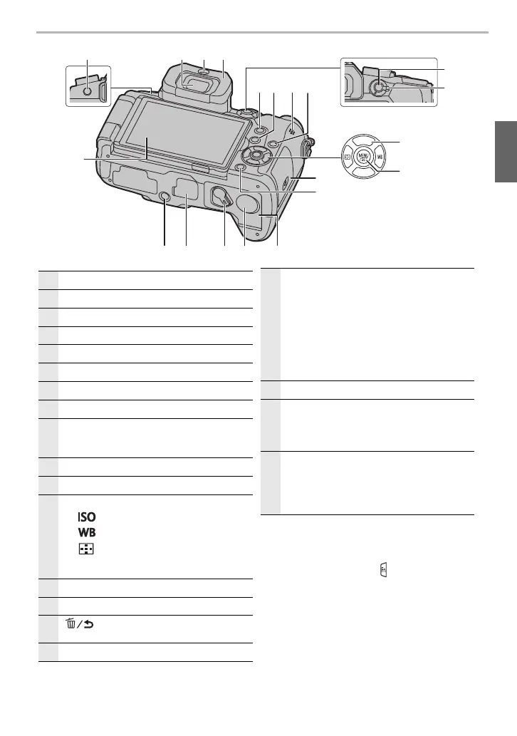 Page #17 background image