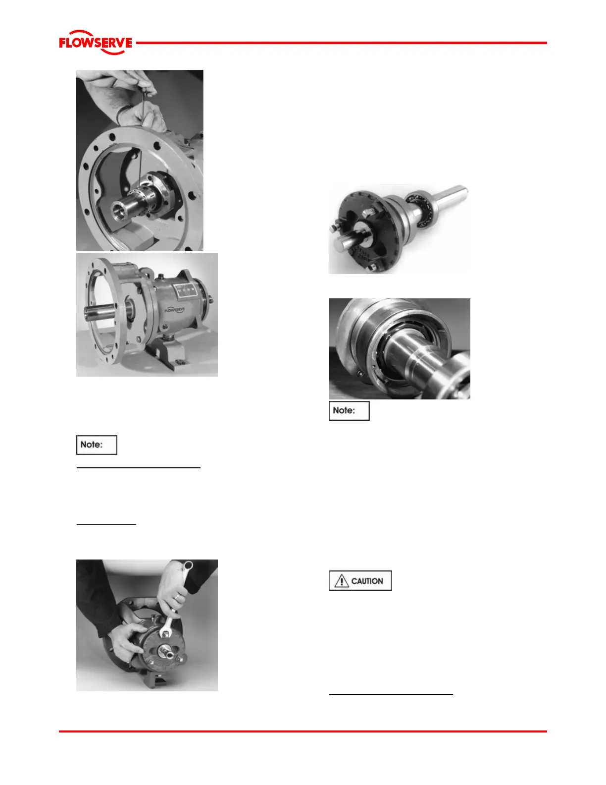 Page #31 background image