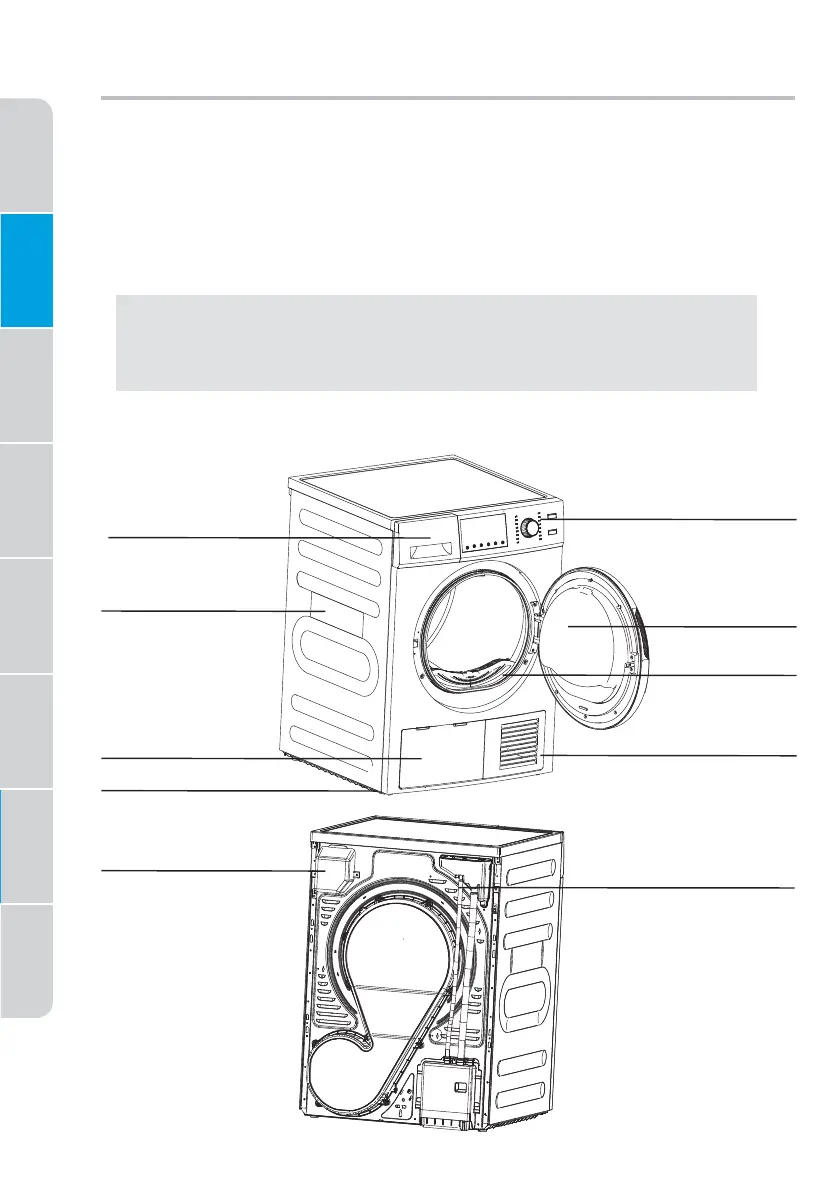 Page #12 background image