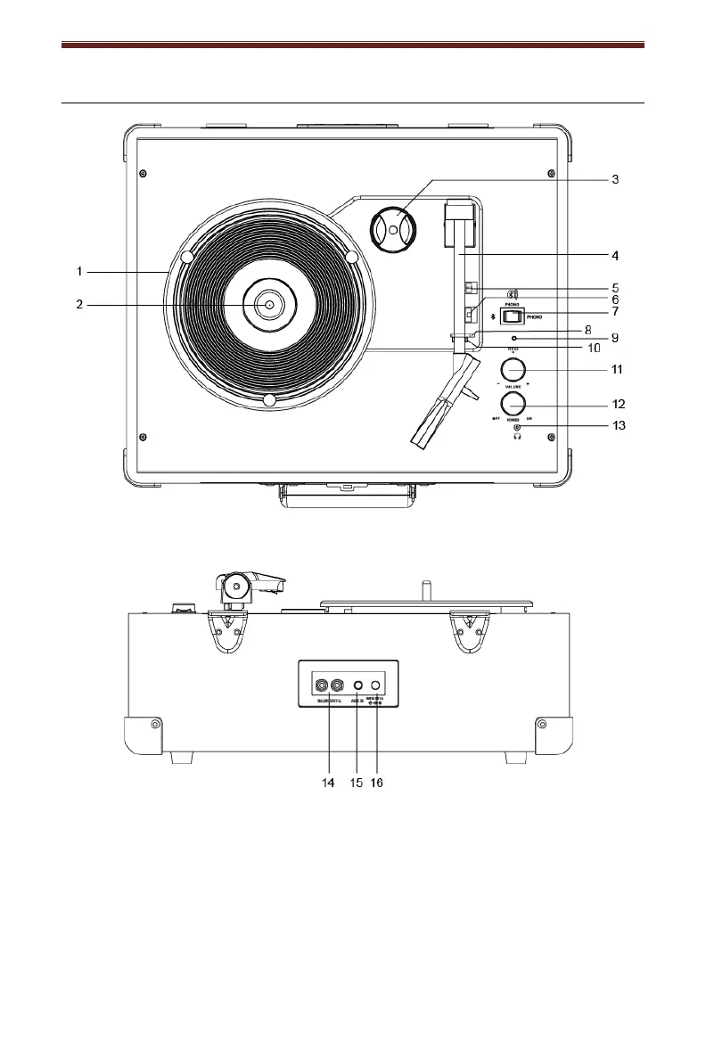 Page #4 background image