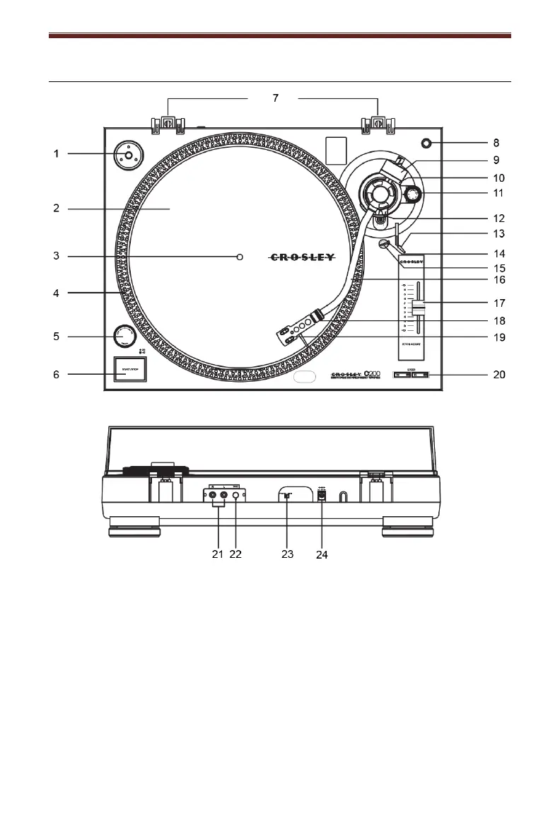 Page #5 background image